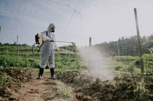 Best Pest Prevention Services  in Ashland, OR