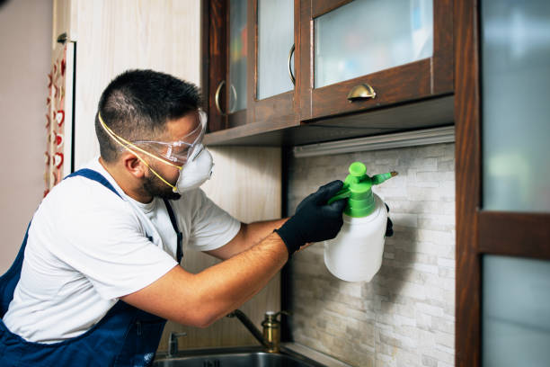 Best Pest Control Near Me  in Ashland, OR