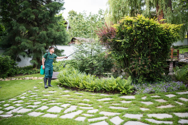 Ashland, OR Pest Control Pros