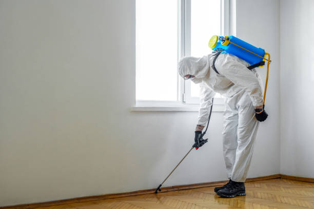 Best Best Pest Control Companies  in Ashland, OR