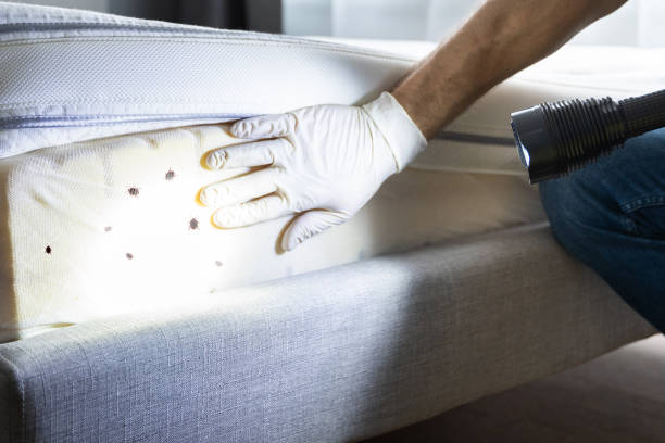 Best Pest Control Treatment  in Ashland, OR