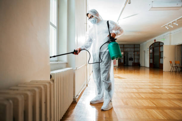 Best Termite Control Services  in Ashland, OR